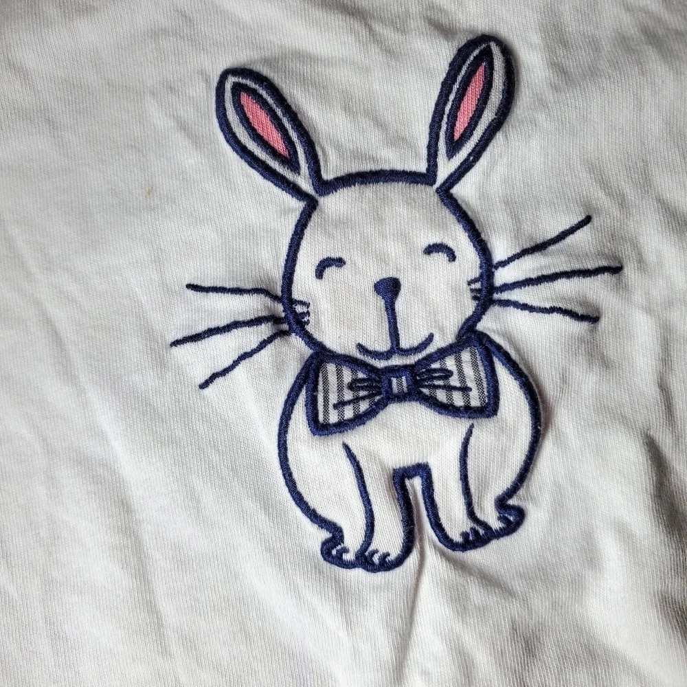 Gymboree embroidered baby